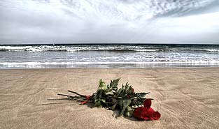 art3624 1
